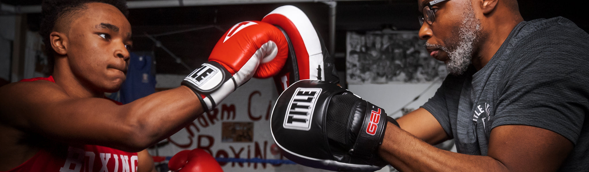 Punch Mitts