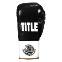 variant:Black/White/Gold::TITLE Boxeo Pro Fight Gloves front view