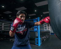 variant:red/white::TITLE Boxeo Mexican Leather Lace Training Gloves Quatro guy hitting bag