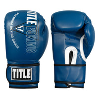 color:blue::TITLE Boxing Peak Bag Gloves main view