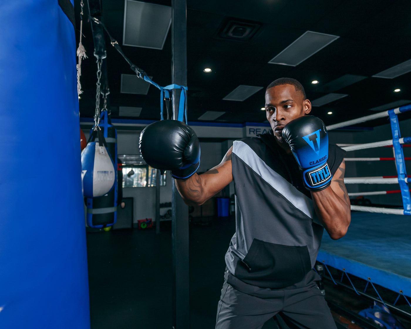 TITLE Classic Crusade Boxing Gloves