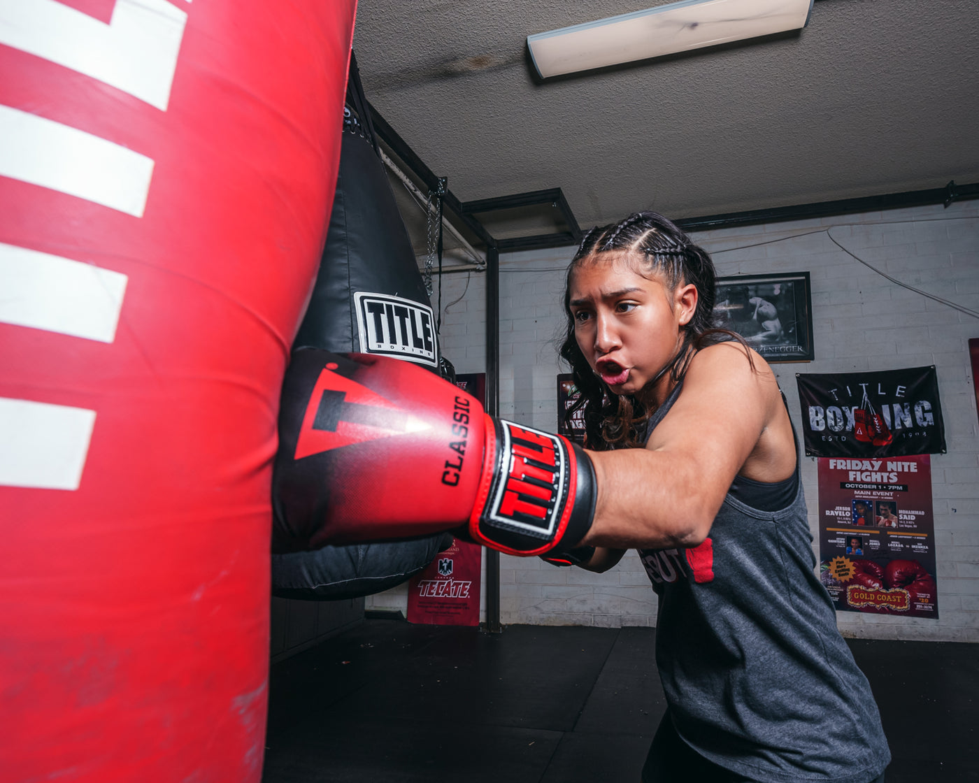 TITLE Classic Crusade Boxing Gloves