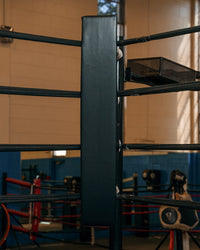 variant:black::TITLE Boxing Blank Pro Corner Cushion V3.0 corner pole view