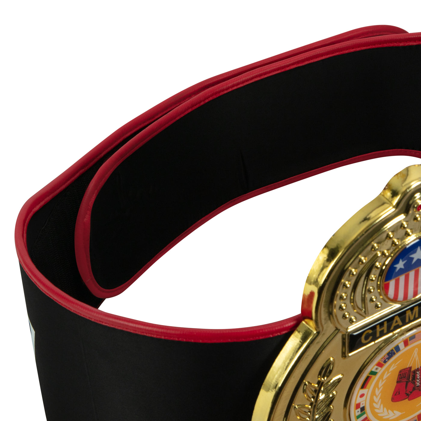 variant:lifestyle::TITLE Boxing Old School Title Belt back view