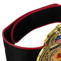 variant:lifestyle::TITLE Boxing Old School Title Belt back view