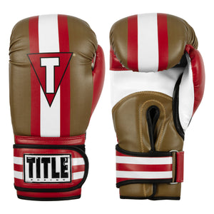 専用　タイトル　TITLE Boxing WBC バッググローブ 12オンス Title Boxing WBC Pro Fight Leather Lace Up Gloves - Black