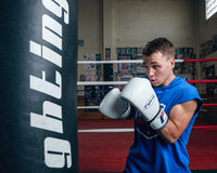Fighting Fury Professional Training Boxing Gloves