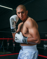 variant:white/black::TITLE Boxing Great Official Pro Fight Gloves boxing pose