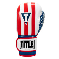 variant:lifestyle::TITLE Boxing Infused Foam Combat USA Training Gloves front view