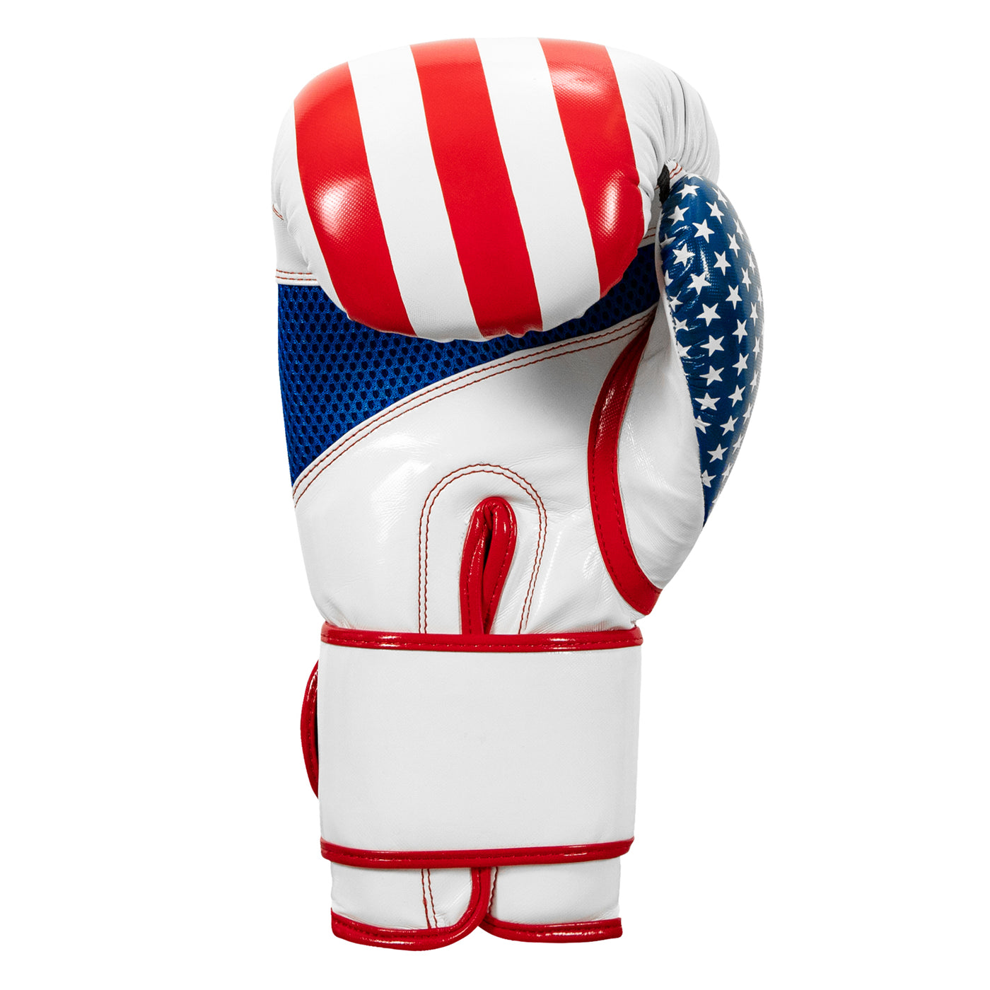 variant:lifestyle::TITLE Boxing Infused Foam Combat USA Training Gloves back view