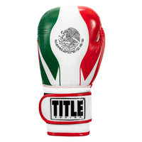 variant:lifestyle::TITLE Boxing Infused Foam EI Combat Mexico Training Gloves front view