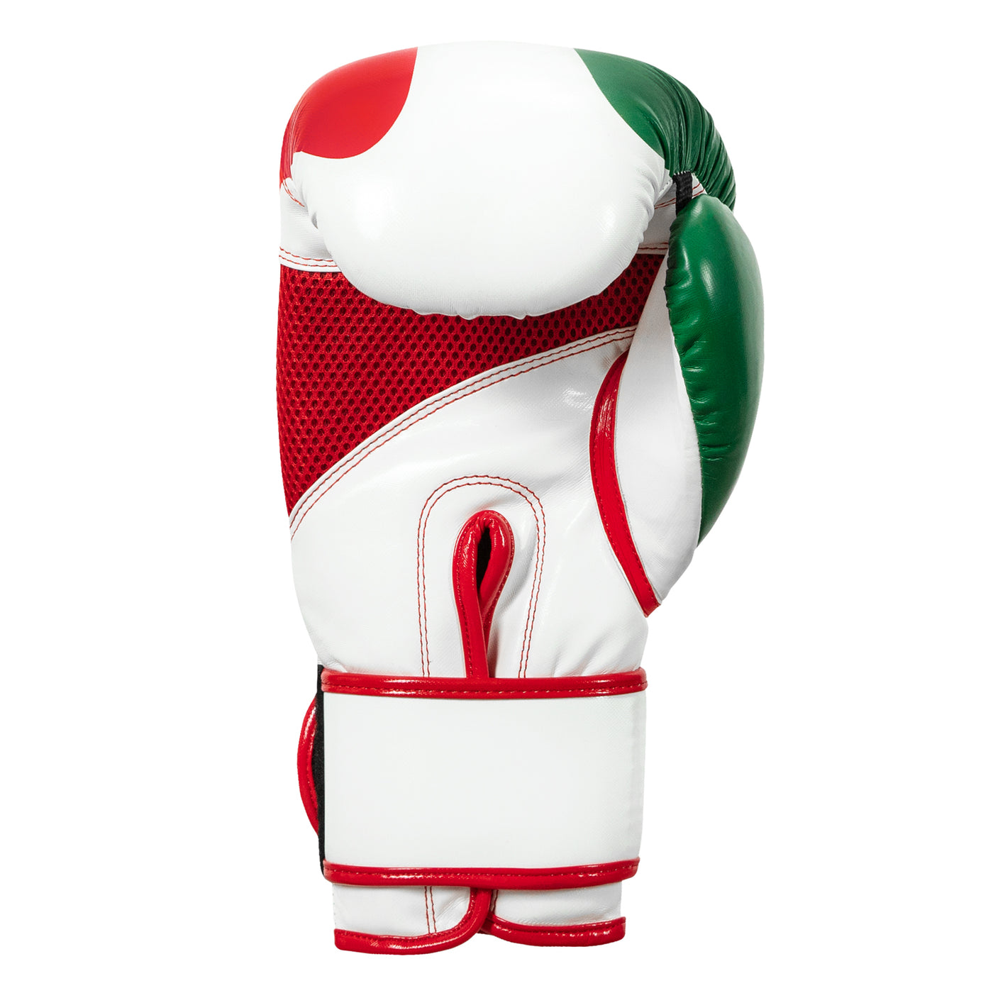 variant:lifestyle::TITLE Boxing Infused Foam EI Combat Mexico Training Gloves back view
