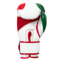 variant:lifestyle::TITLE Boxing Infused Foam EI Combat Mexico Training Gloves back view