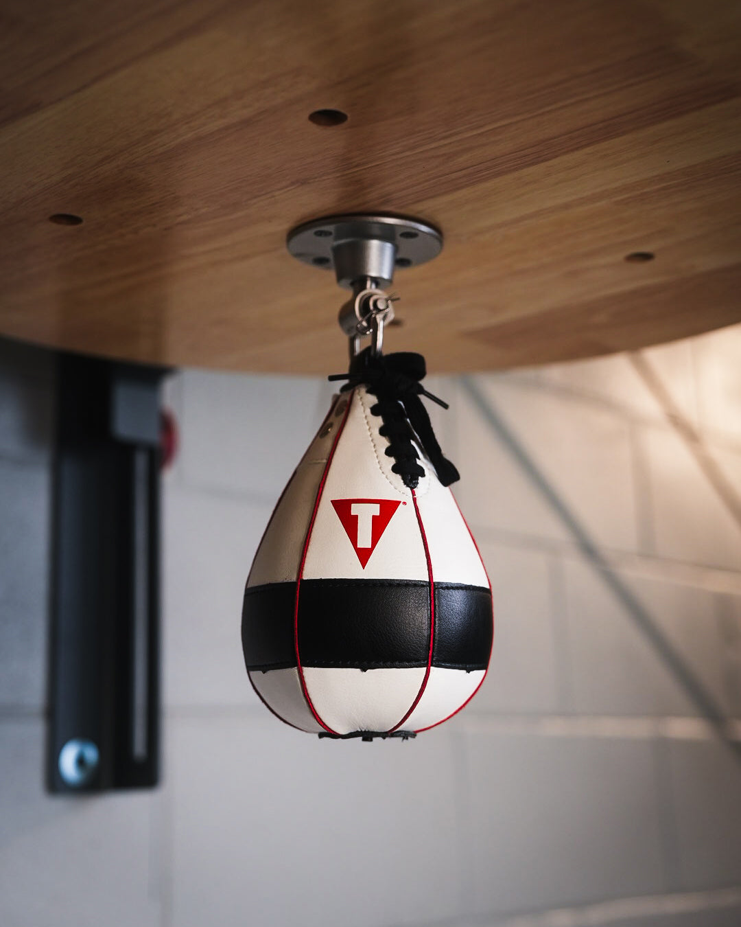 variant:lifestyle::TITLE Boxing Lightning Fast Speed Bag hanging in gym