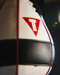 variant:lifestyle::TITLE Boxing Lightning Fast Speed Bag closeup of bag