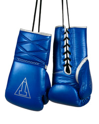 variant:blue/silver::TITLE Boxing Momentum Pro Sparring Gloves hanging by laces