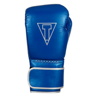 variant:blue/silver::TITLE Boxing Momentum Pro Training Gloves single glove back view
