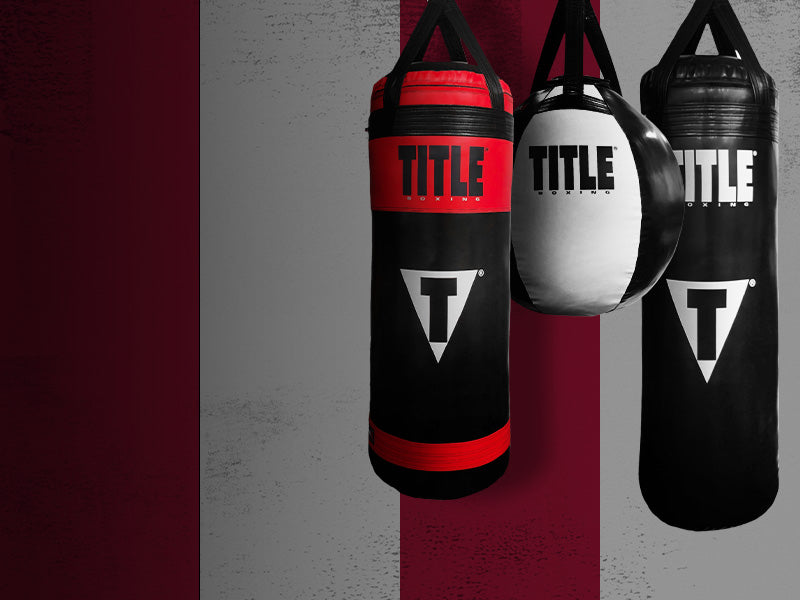 TITLE Platinum Punch Mitts 2.0