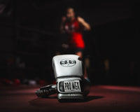 variant:Silver::Pro Mex Professional Edge Training Gloves on the floor of boxing ring