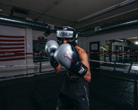 variant:lifestyle::TITLE Platinum Proclaim Boxing Training Gloves boxing stance