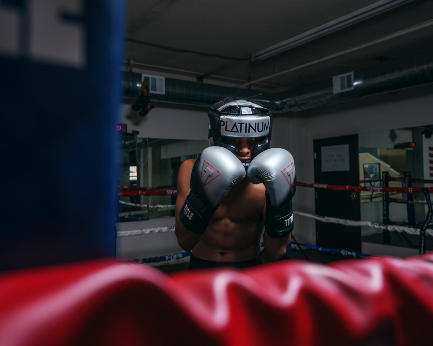 variant:lifestyle::TITLE Platinum Proclaim Boxing Training Gloves boxer standing boxing stance hands up