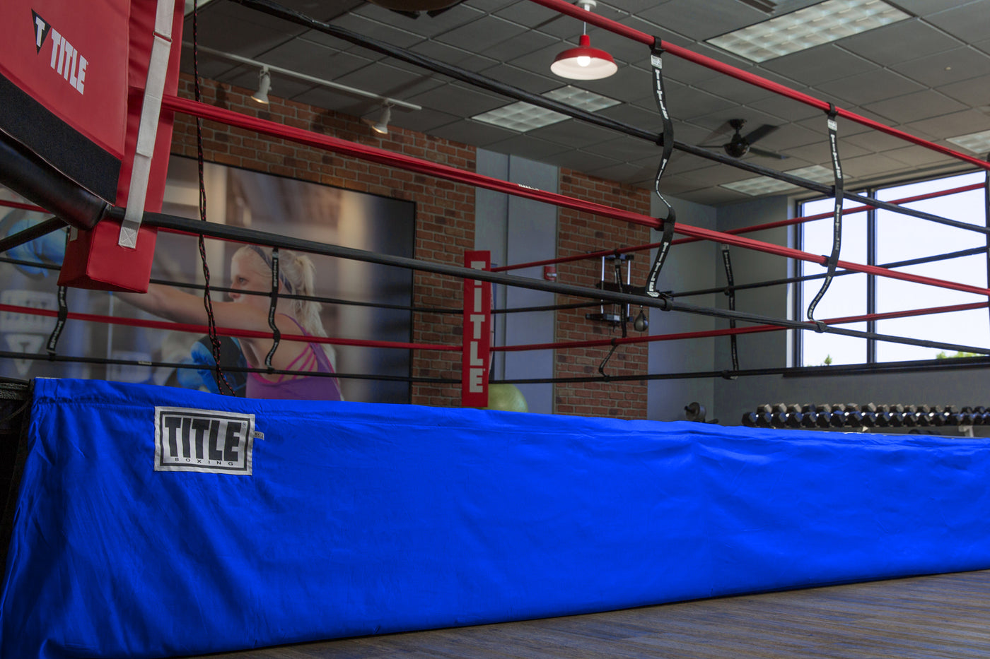 color:blue::TITLE Boxing Floor Level Ring Skirt 3.0 main view