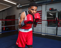 variant:lifestyle::TITLE Boxing Border Reversible Amateur Competition Set boxing stance