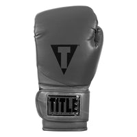 variant:grey::TITLE Boxing Swift Bag Gloves glove back view