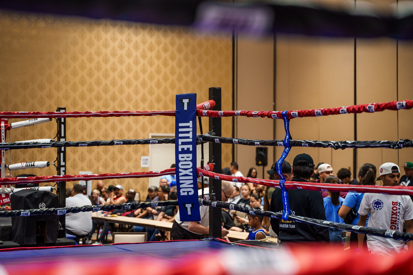 variant:blue::TITLE Boxing Two-Sided Rope Spacers on ring back view