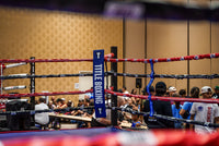 variant:blue::TITLE Boxing Two-Sided Rope Spacers on ring back view