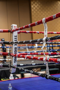 variant:white::TITLE Boxing Two-Sided Rope Spacers on ring close up