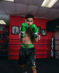 variant:Black/Green::WBC by TITLE Boxing Professional Boxing boxing stance