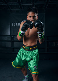 variant:Green/Black::WBC by TITLE Boxing Professional Boxing Trunks boxing pose