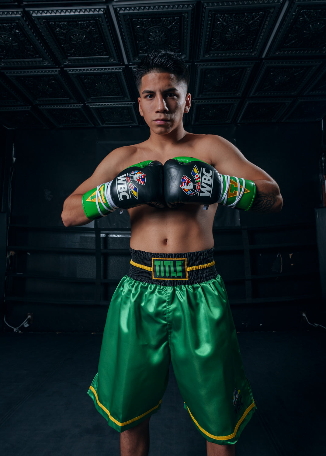 variant:black/green::WBC by TITLE Boxing Pro Fight Leather Gloves hands together