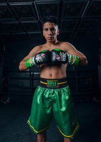 variant:black/green::WBC by TITLE Boxing Pro Fight Leather Gloves hands together