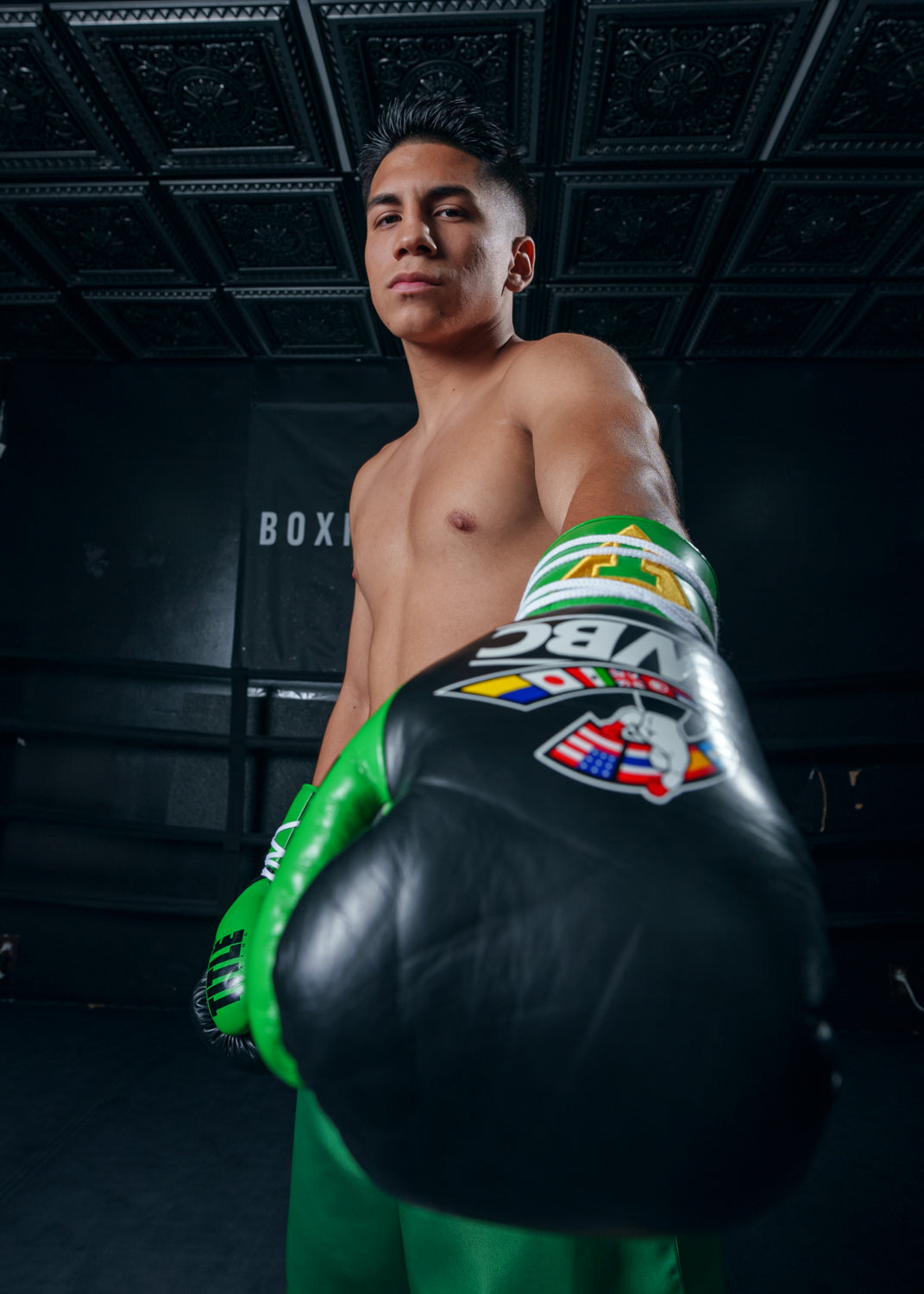 variant:black/green::WBC by TITLE Boxing Pro Fight Leather Gloves left hand down towards camera