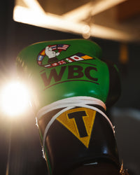 variant:Black/Green::WBC by TITLE Boxing Sparring Gloves closeup of logos