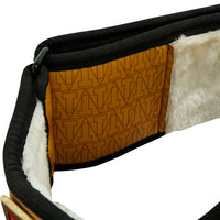 variant:lifestyle::TITLE Boxing Championship Belt close up T's