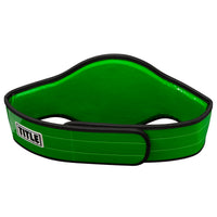 variant:green::TITLE Boxing World Boxing Champion Title Belt back view