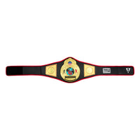 variant:black::TITLE Boxing World Championship Title Belts laid out 