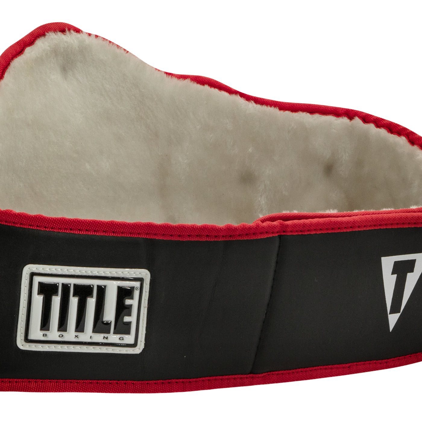 variant:black::TITLE Boxing Truimphant Wings of Victory Belt back side 