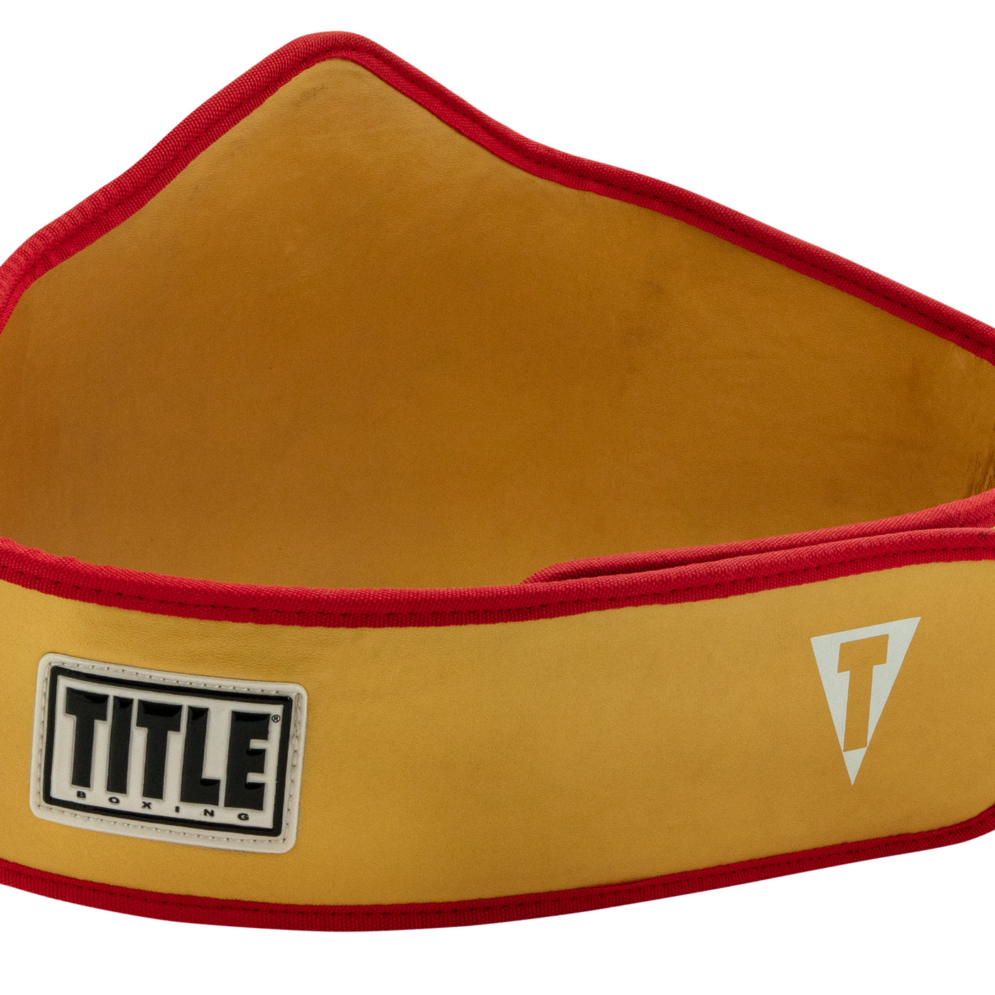 variant:gold::TITLE Boxing Gold Flash TItle  Belt back main view 