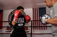 variant:red::Fighting Fury Professional Training Gloves guy in boxing ring wearing gloves training with a boxing coach