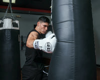 variant:white/black::Pro Mex Professional Lace Sparring Gloves V3.0 kid hitting bag right hook