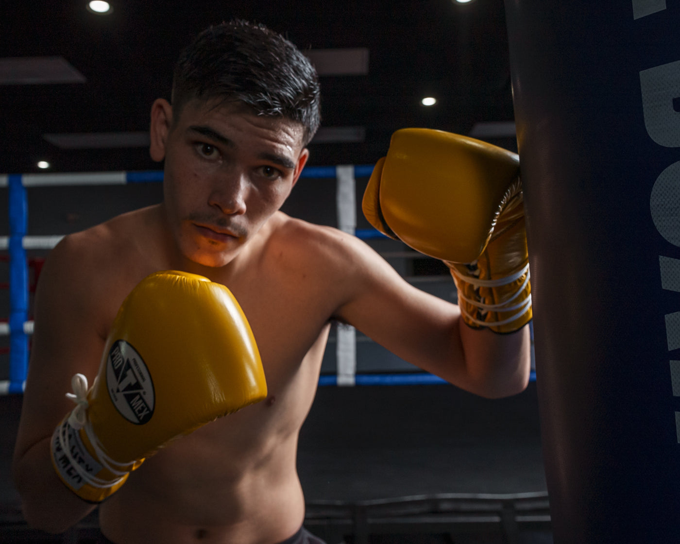 variant:Yellow/Black::Pro Mex Professional Lace Sparring Gloves V3.0 kid posing left hand on bag