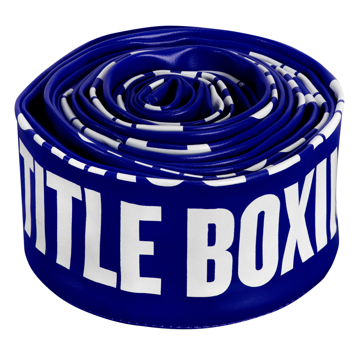 variant:blue::TITLE Boxing Pro Vinyl Zippered Rope Cover 4.0 second view