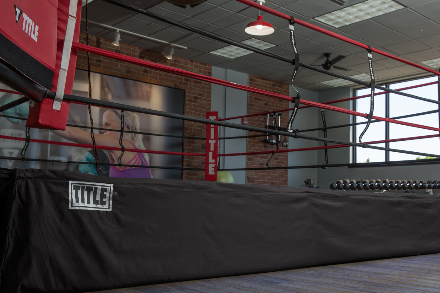 color:black::TITLE Boxing Floor Level Ring Skirt 3.0 main view