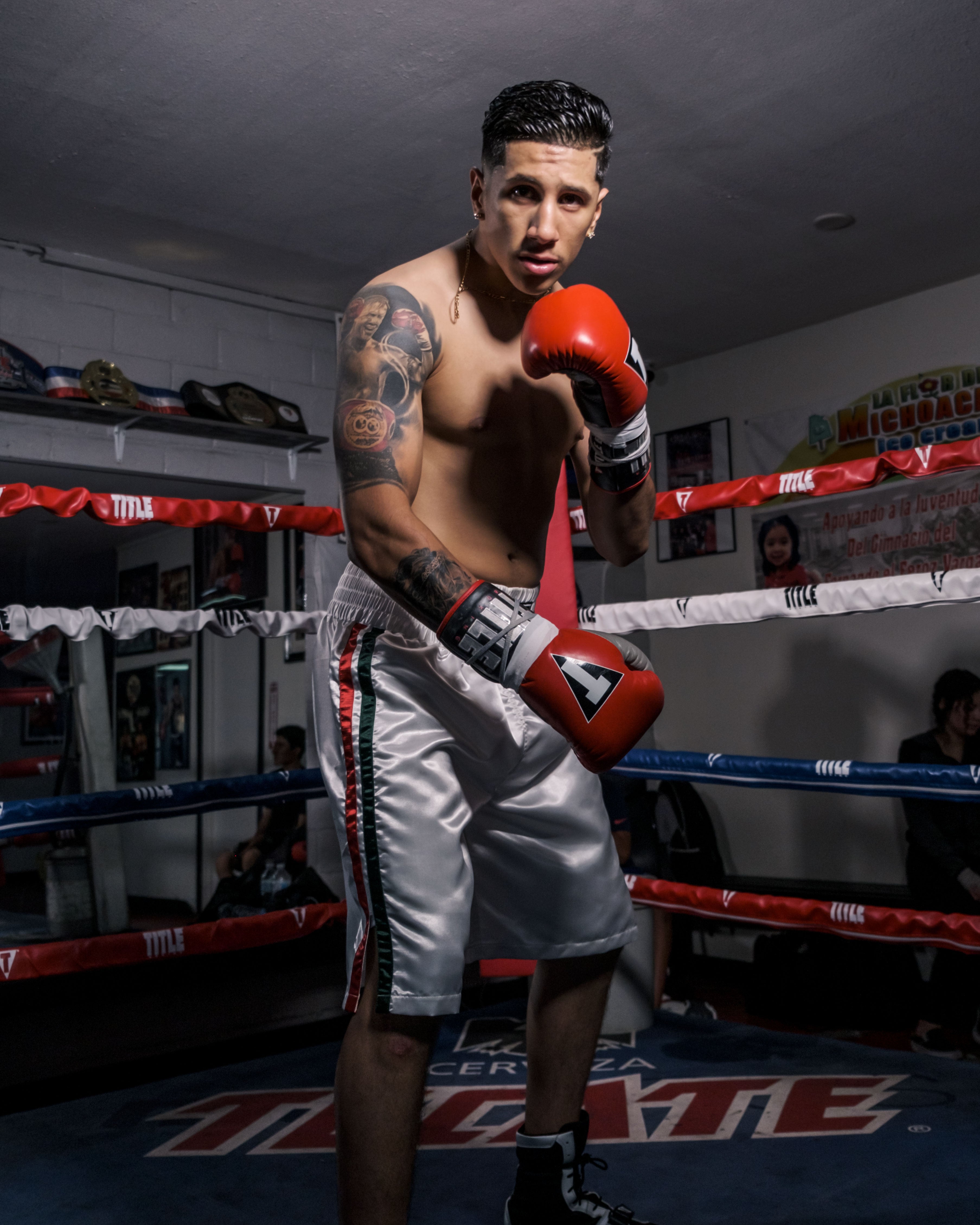 Professional Boxer Robe