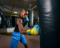 variant:Blue/Lime::Viper by TITLE Boxing Select Training Gloves 2.0 man punching bag