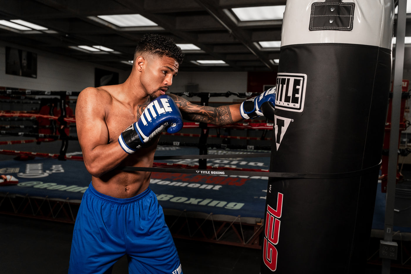 variant:lifestyle::TITLE Boxing Inside Fighting Resistance Trainer